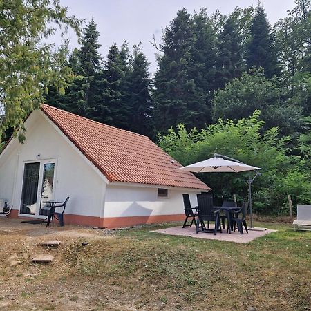 Mon Chalet En Ariege Avec Piscine Daumazan-sur-Arize Buitenkant foto