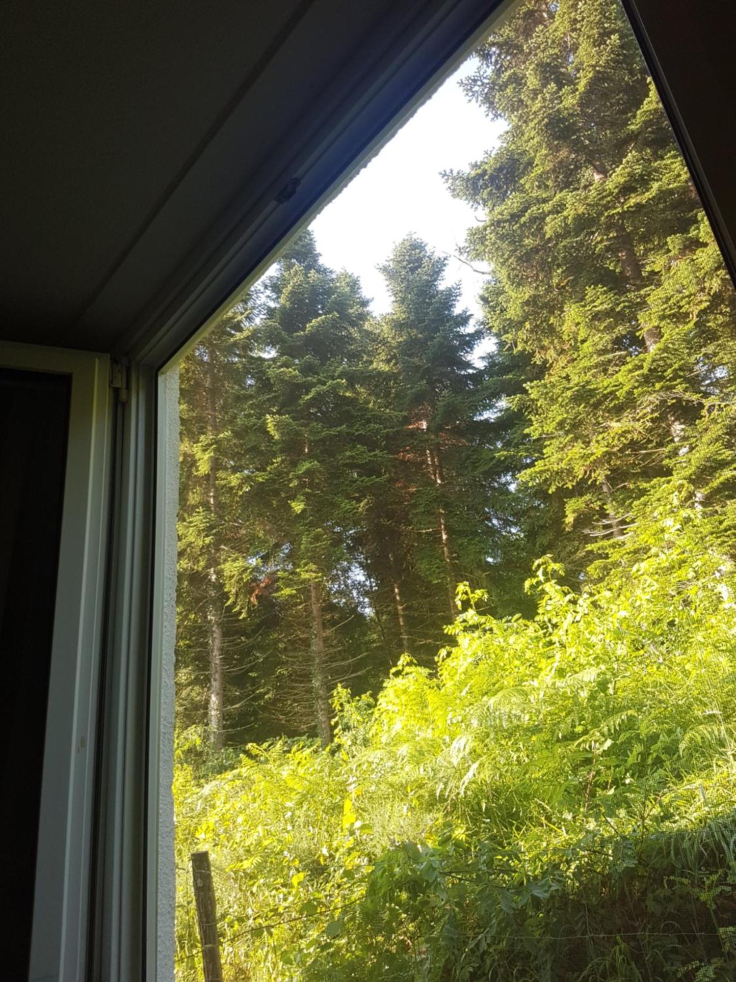 Mon Chalet En Ariege Avec Piscine Daumazan-sur-Arize Buitenkant foto