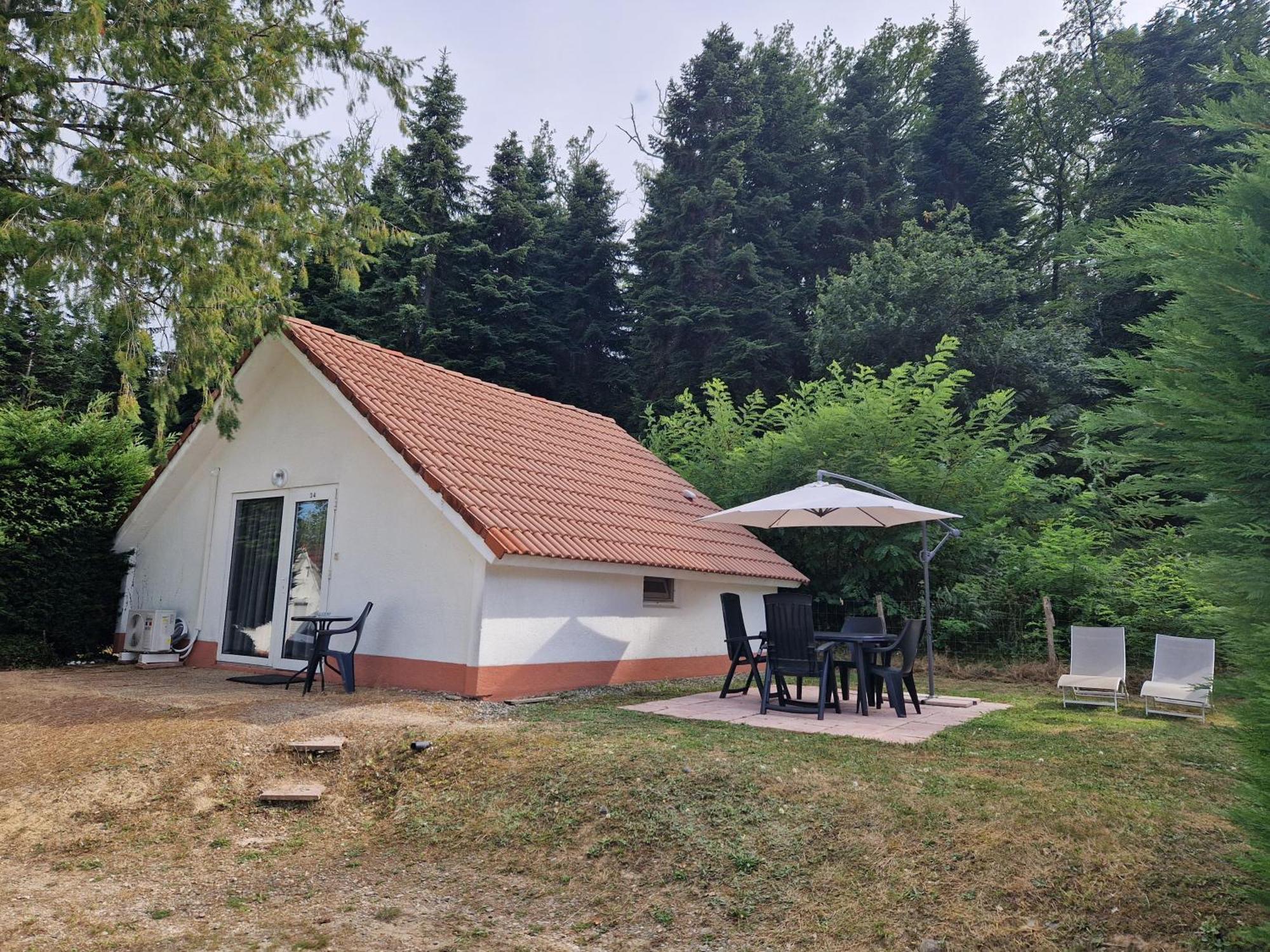 Mon Chalet En Ariege Avec Piscine Daumazan-sur-Arize Buitenkant foto